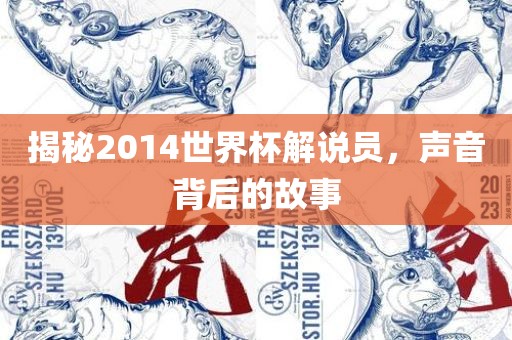 揭秘2014世界杯解说员，声音背后的故事