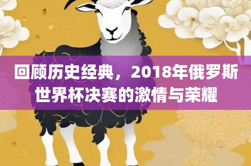 回顾历史经典，2018年俄罗斯世界杯决赛的激情与荣耀眉山市正发家政服务有限公司