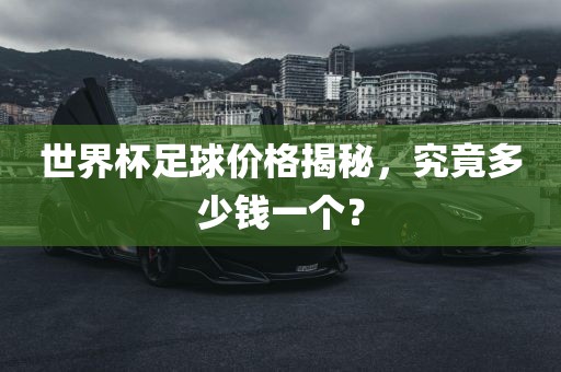 世界杯足球价格眉山市正发家政服务有限公司揭秘，究竟多少钱一个？