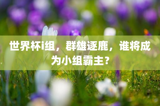 世界杯i组，群雄逐鹿，谁将成为小组霸主？