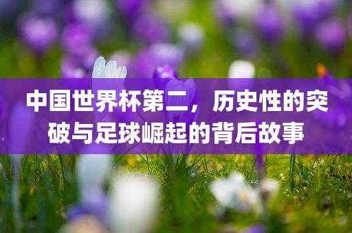 houyingru 第6页