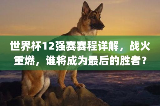 世界杯12强赛赛程详解，战火重燃，谁将成为最后的胜者？