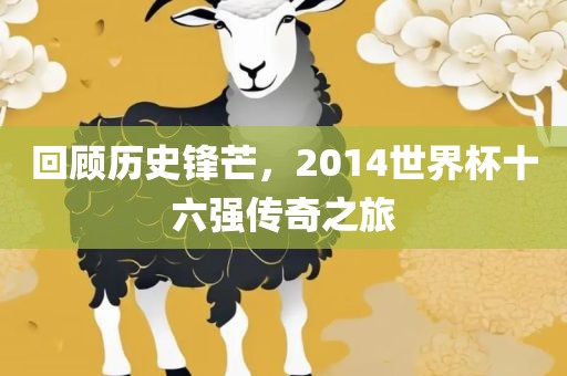 回顾历史锋芒，2014世界杯十六强传奇之旅