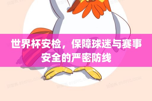 世界杯安检，保障球迷与赛事安全的严密防线眉山市正发家政服务有限公司