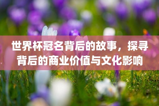 世界杯冠名背后的故事，探寻眉山市正发家政服务有限公司背后的商业价值与文化影响