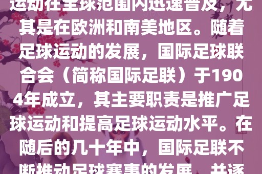 国际足球联合会（国际足联）