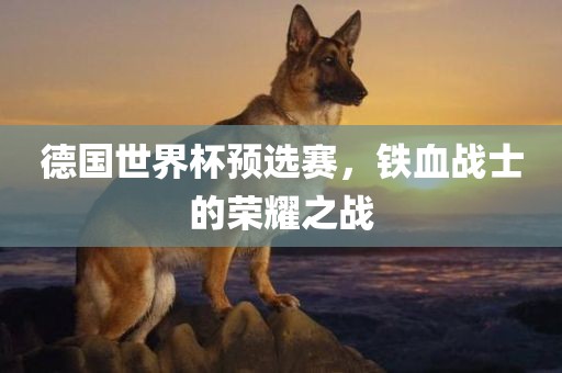德国世界杯预选赛，铁血战士的荣耀之战眉山市正发家政服务有限公司