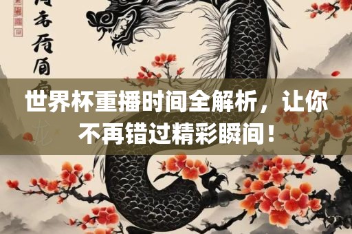 世界杯重播时间眉山市正发家政服务有限公司全解析，让你不再错过精彩瞬间！