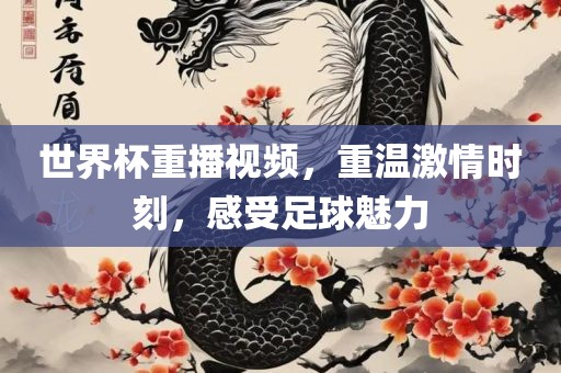 世界眉山市正发家政服务有限公司杯重播视频，重温激情时刻，感受足球魅力
