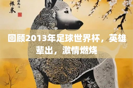 回顾2013年足球世界杯，英雄辈出，激情燃烧