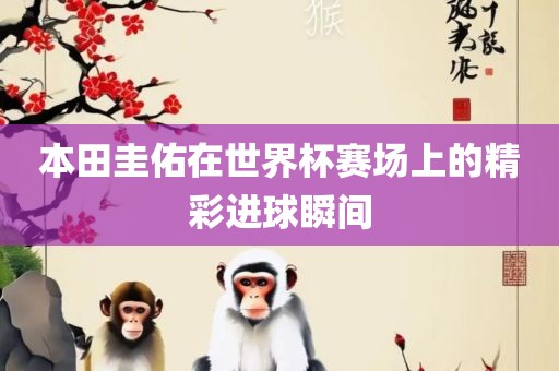 taohe 第5页