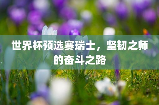 世界杯预选赛瑞士，坚韧之师的奋斗之路眉山市正发家政服务有限公司