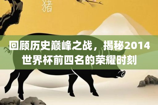 回顾历史巅峰之战，揭秘2014世界杯前四名的荣耀时刻