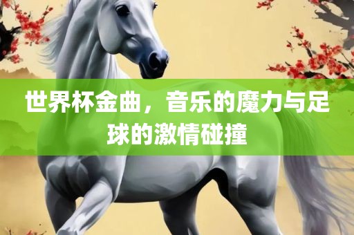 世界杯金曲，音乐的魔力与足球的激情碰撞眉山市正发家政服务有限公司