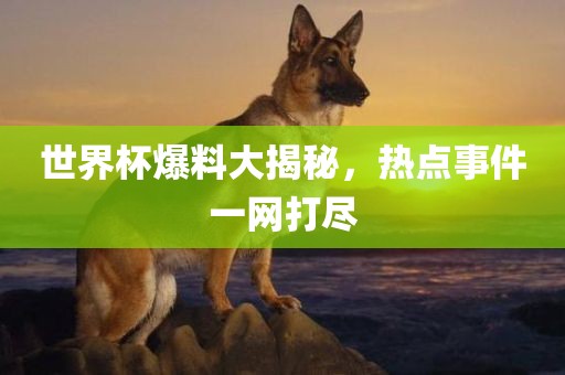 世界杯爆料大揭秘，热点事件一网打尽眉山市正发家政服务有限公司