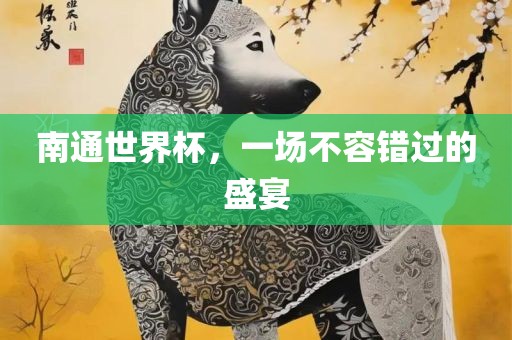 南通世界杯，一场不容错过的盛宴