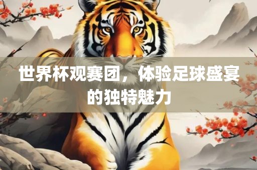 世界杯观赛团，体验足球盛宴的独特魅力