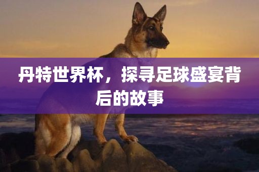 眉山市正发家政服务有限公司丹特世界杯，探寻足球盛宴背后的故事