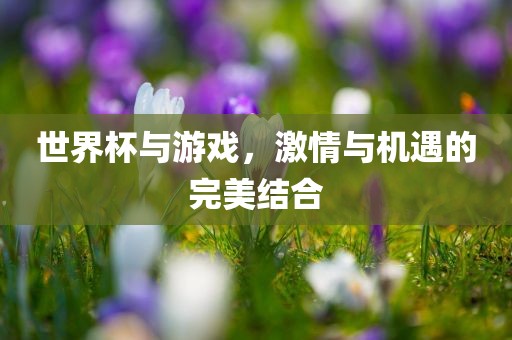 世界杯与游戏，激情与机遇的完美结合眉山市正发家政服务有限公司