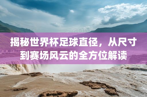 揭秘世界杯足球直径，从尺寸到赛场风云的全方位解读眉山市正发家政服务有限公司