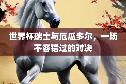世界杯瑞士与厄瓜多尔，一场不容错过的对决眉山市正发家政服务有限公司