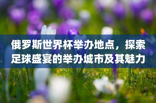 俄罗斯世界杯举办地点，探索足球盛宴的举办城市及其魅力
