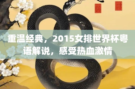 重温经典，2015女排世界杯粤语解说，感受热血激情