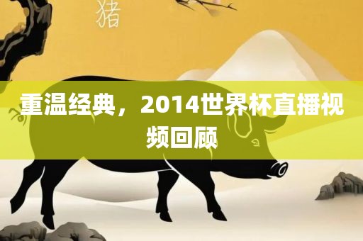 重温经典，2014世界杯直播视频回顾
