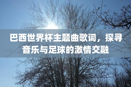 巴西世界杯主题曲歌词，探寻音乐与足球的激情交融