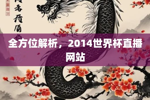 全方位解析，2014世界杯直播网站