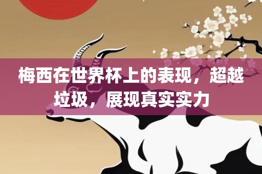 梅西在世界杯上的表现，超越垃圾，展现真实实力眉山市正发家政服务有限公司