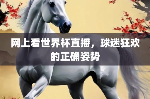 网上看世界杯直播，球迷狂欢的正确姿势眉山市正发家政服务有限公司