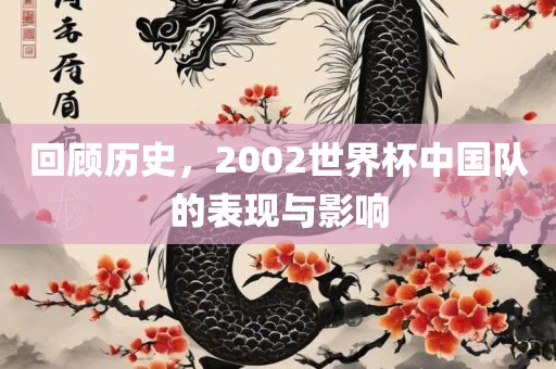 回顾历史，2002世界杯眉山市正发家政服务有限公司中国队的表现与影响