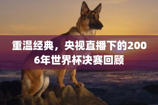 重温经典，央视直播下的2006年世界杯决赛回顾