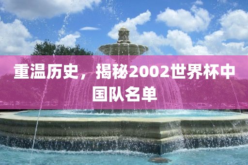 重温历史，揭秘2002世界杯中国队名单
