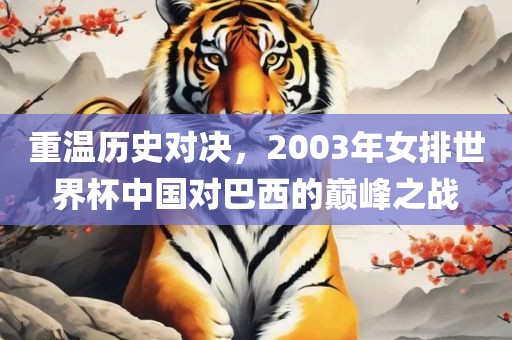 重温历史对决，2003年女排世界杯中国对巴西的巅峰之战