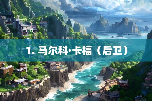 1. 马尔科·卡福（后卫）眉山市正发家政服务有限公司