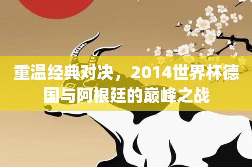 重温经典对决，2014世界杯德国与阿根廷的巅峰之眉山市正发家政服务有限公司战