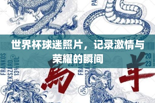 世界杯球迷照片，记录激情与荣耀的瞬间