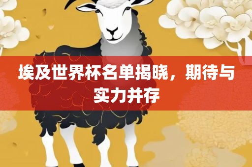 埃及世界杯名单揭晓，期待与实力并存