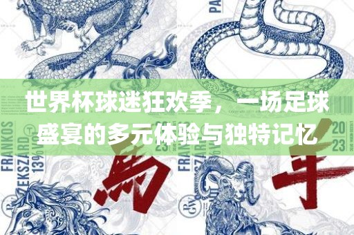 世界杯球迷狂欢季，一场足球盛宴的多元体验与独特记忆