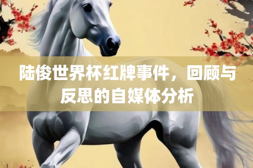 陆俊世界杯红牌事件，回顾与反思的自媒体分析