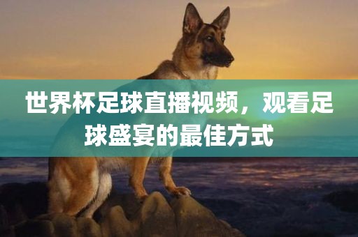 世界杯足球直播视频，观看足球盛宴的最佳方式