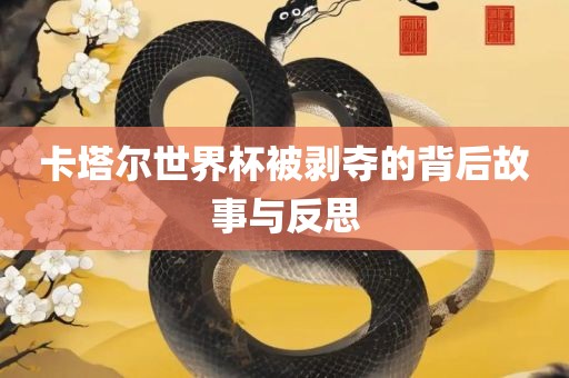 卡塔尔世界杯被剥夺的背后故事与反思眉山市正发家政服务有限公司
