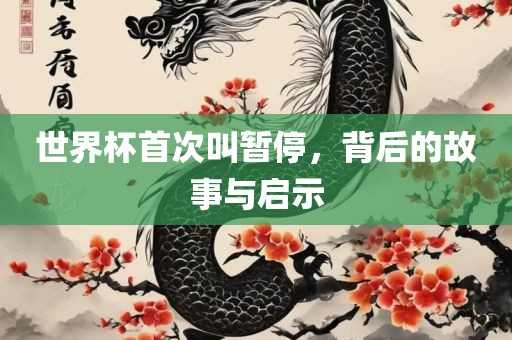 世界杯首次叫暂停，背后的故事与启示