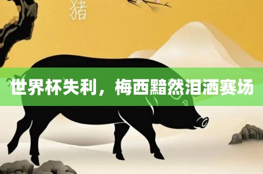 世界杯失利，梅西黯然泪洒赛场