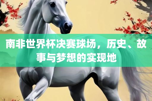 南非世界杯决赛球场，历史、故事与梦想的实现地眉山市正发家政服务有限公司