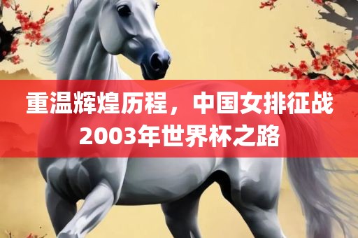 重温辉煌历程，中国女排征战2003年世界杯之路