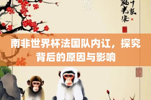 南非世界杯法国队内讧，探究背后的原因与影响