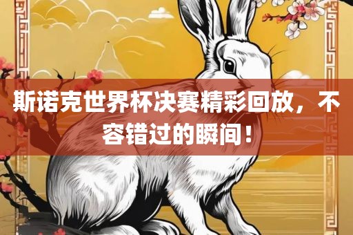 斯诺克世界杯决赛精彩回放，不容错过的瞬间！